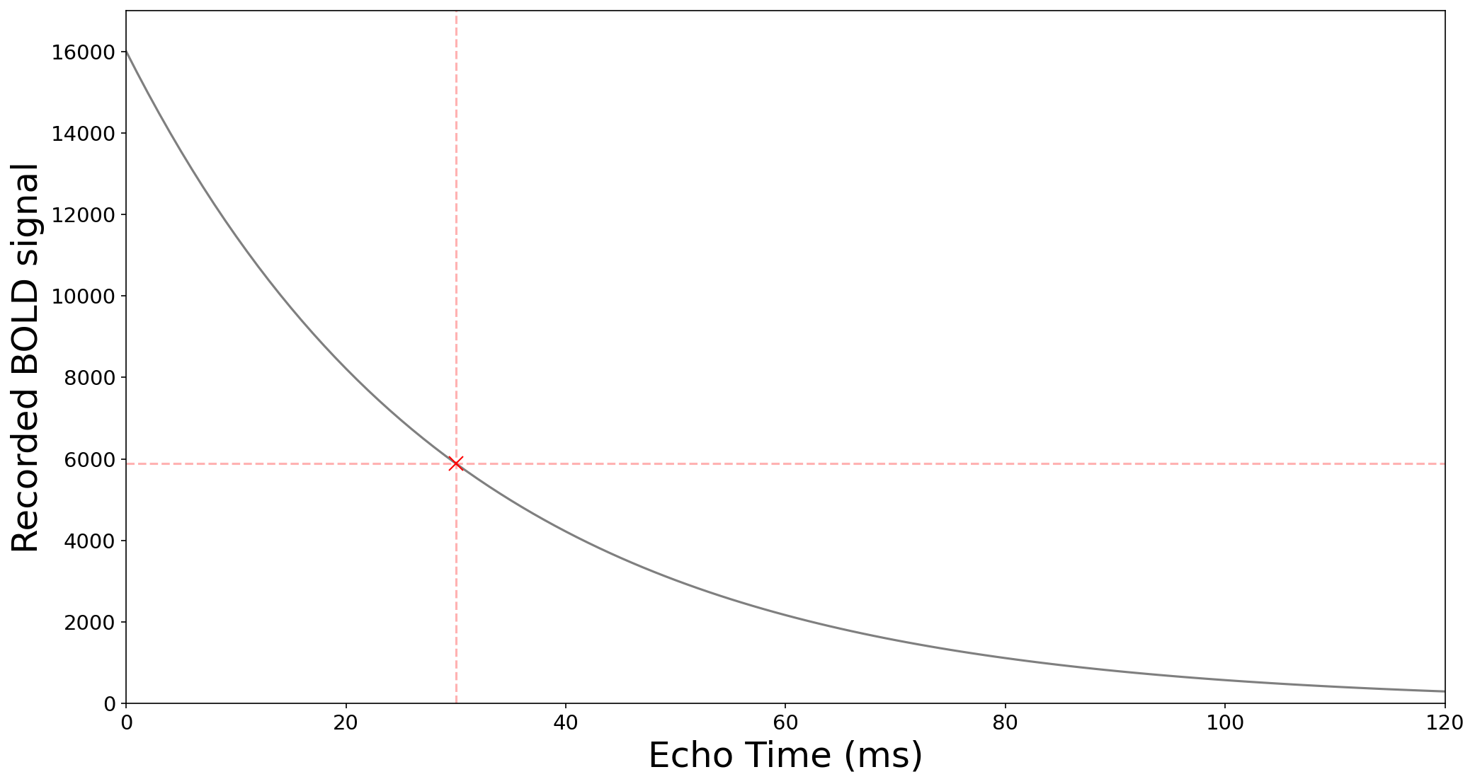 ../_images/fig_signal_decay_single-echo.png